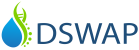 DSWAP Logo
